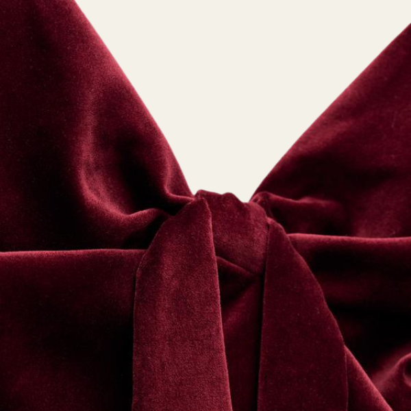The Lucerne Crop Velvet Bow Top